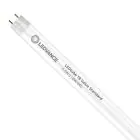 Ledvance Tube LED T8 Value (EM/Direct 230V) Standard Output 6.6W 800lm - 840 Blanc Froid | 60cm - Équivalent 18W